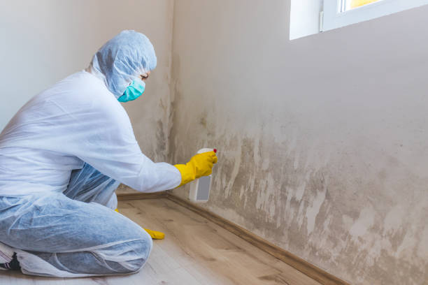 Licensed Mold Inspection service in Lumberton, NJ - WQB Mold Removal