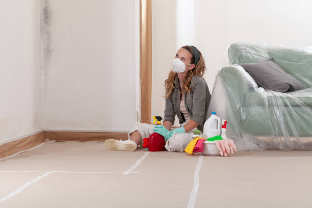 Reliable Mold Inspection contractor in Lumberton, NJ by WQB Mold Removal